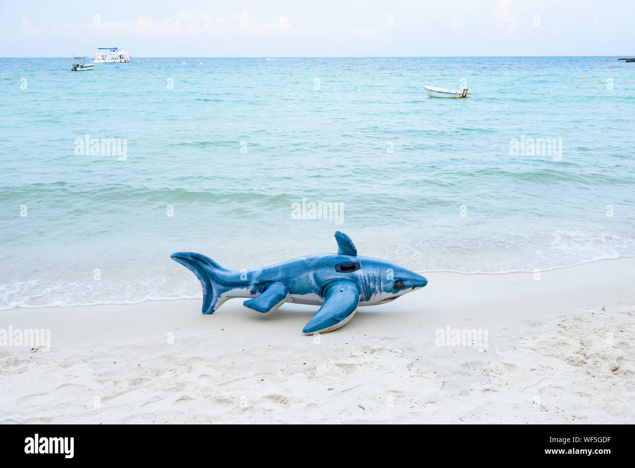 Water inflatable shark hi-res stock photography and images - Alamy