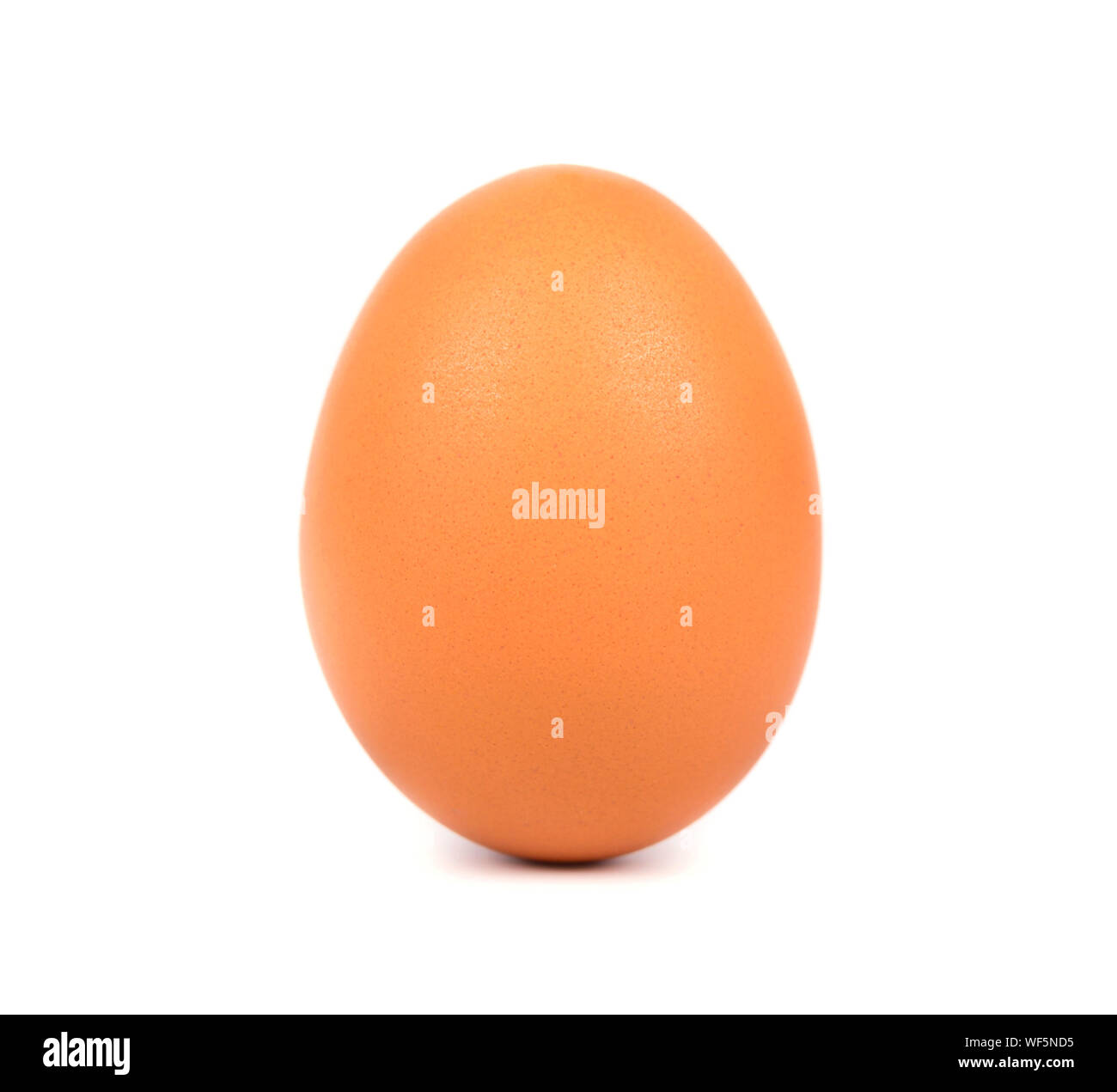Chicken eggs isolated on white background Stock Photo - Alamy