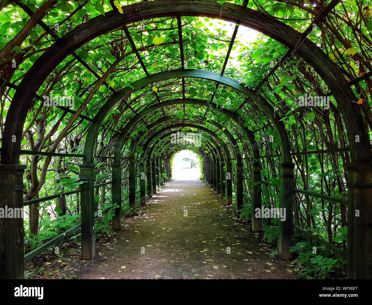 Plants covered walkway hires stock photography and images Alamy