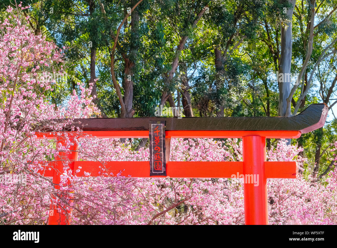 Torii gate man hi-res stock photography and images - Alamy
