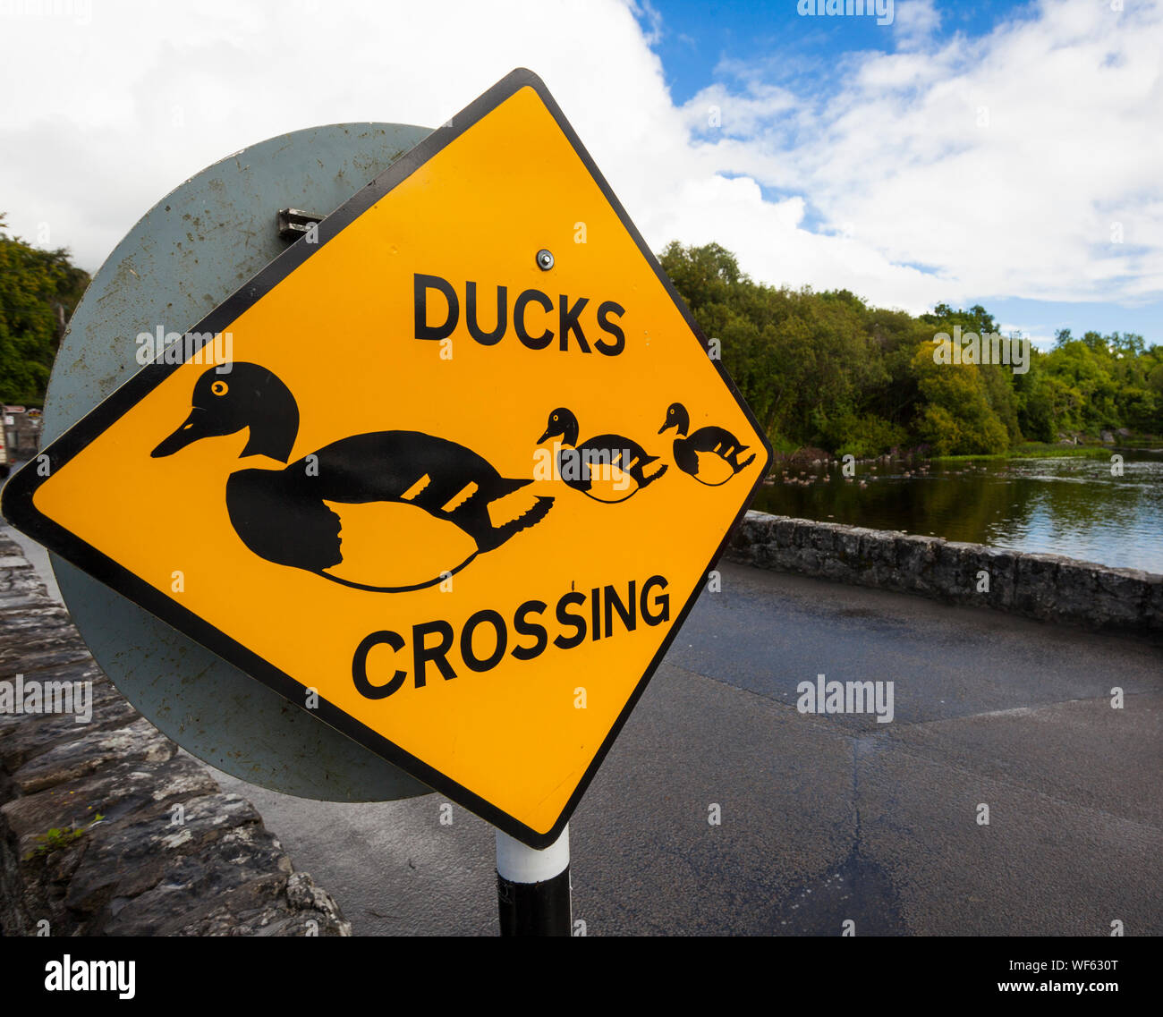 Duck ducks crossing sign hi-res stock photography and images - Alamy