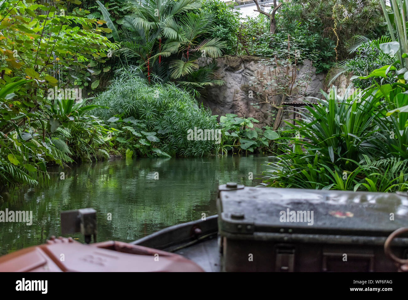 Jungle cruise at a Tropical Rainforest Stock Photo Alamy