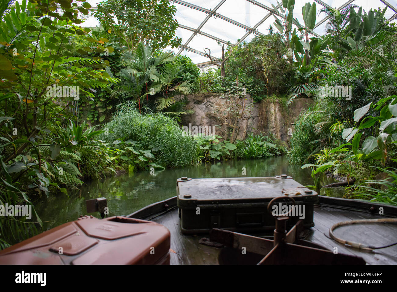 Jungle cruise at a Tropical Rainforest Stock Photo Alamy