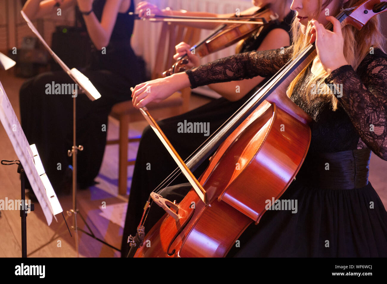 View Of Women Playing String Instruments Stock Photo
