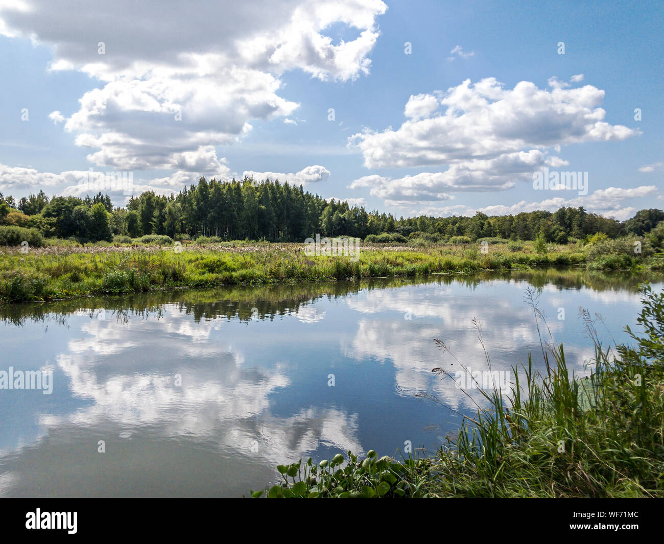 river in countryside landscape in summer. cloudy sky reflected on water surface Stock Photo