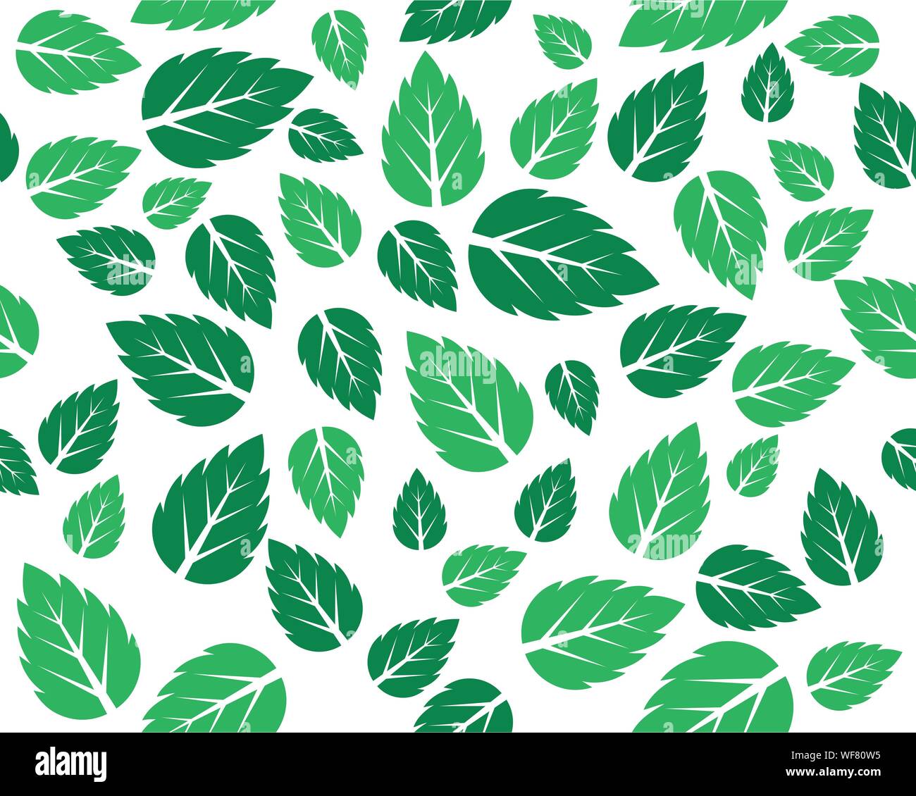Mint fresh leaves Vector background pattern Stock Vector Image & Art