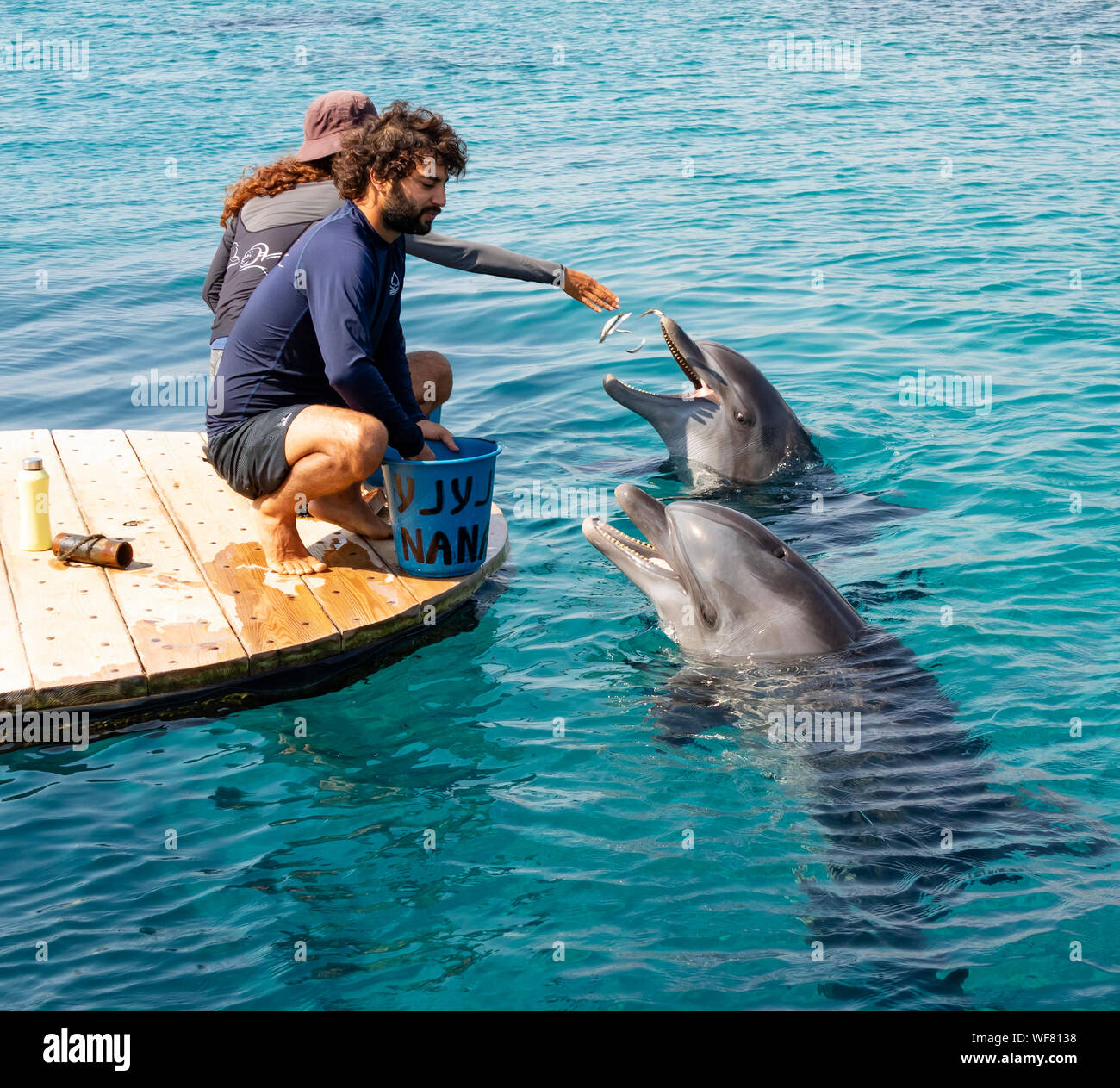 Eilat, Israel - August 29th, 2019: Caregivers feeding two dolphins in the dolphin reef in Eilat, Israel Stock Photo