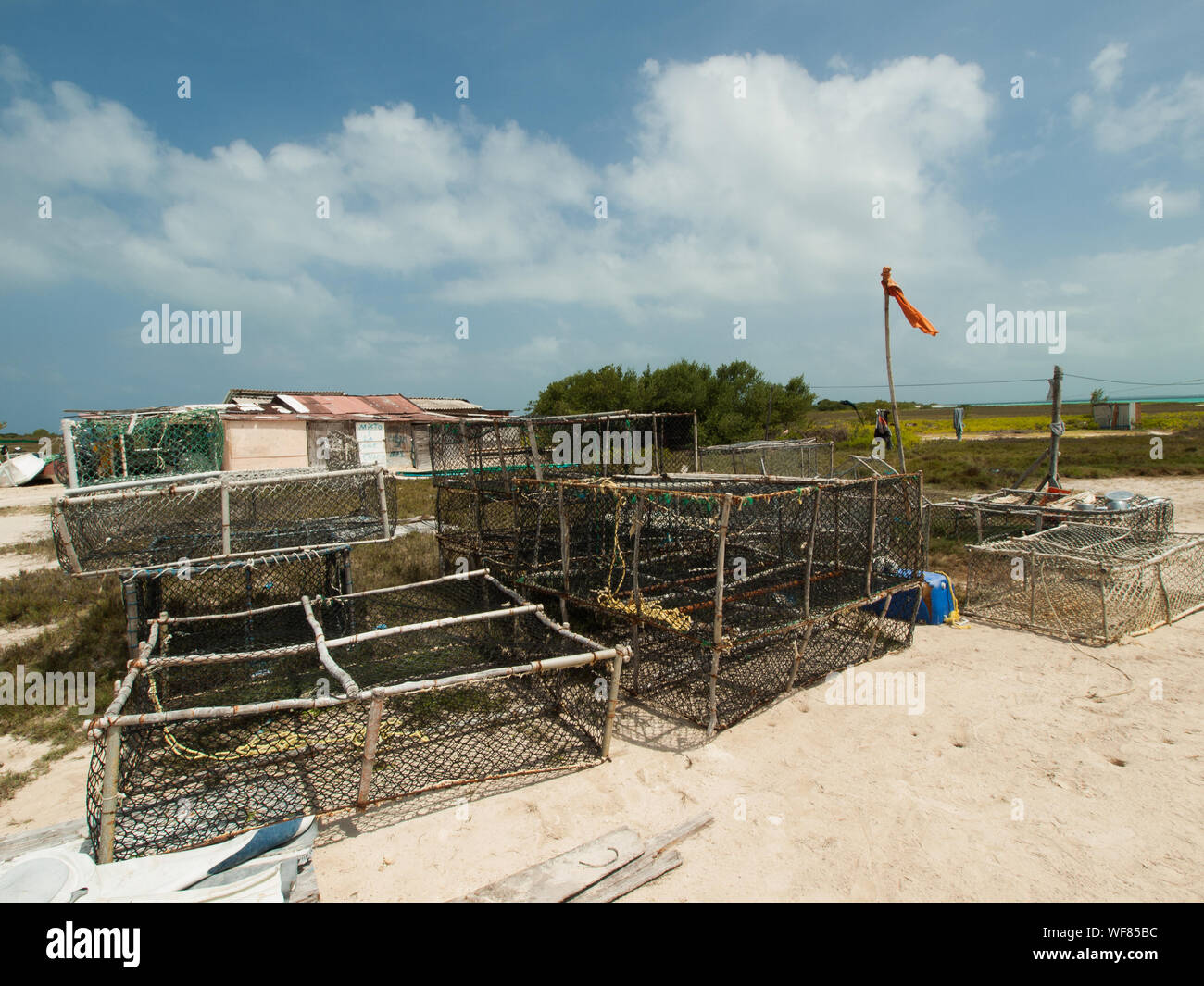 Arthropod Caribbean Caribbean Sea, Spiny Lobster, CloseUp, , Seafood