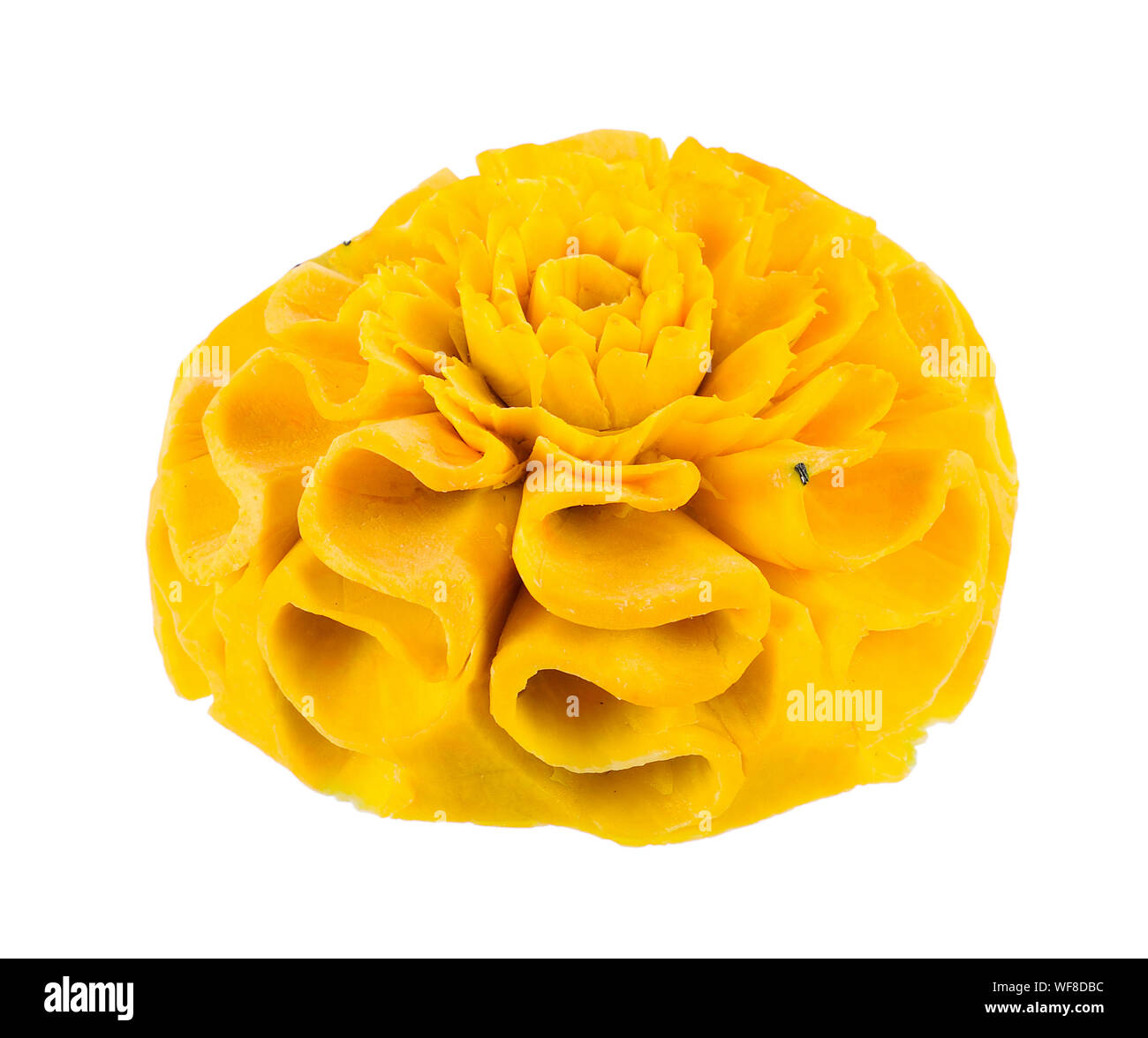 Yellow flower white background hi-res stock photography and images - Alamy