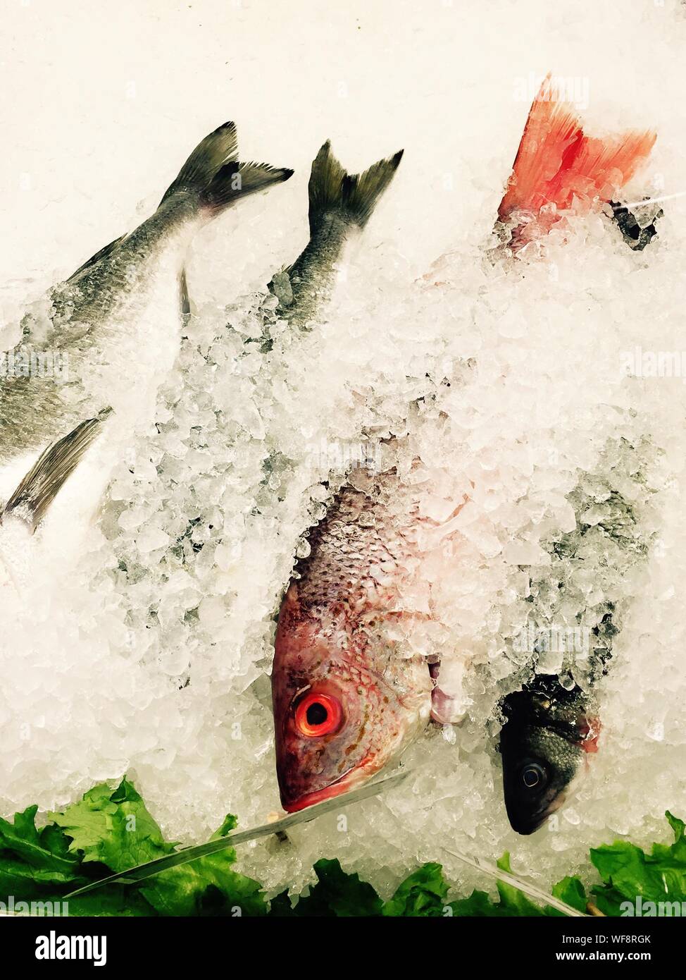 Frozen Fish Market High Resolution Stock Photography and Images Alamy