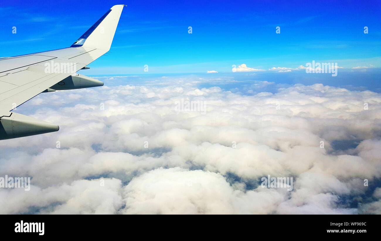 Airplane Above Clouds Stock Photo