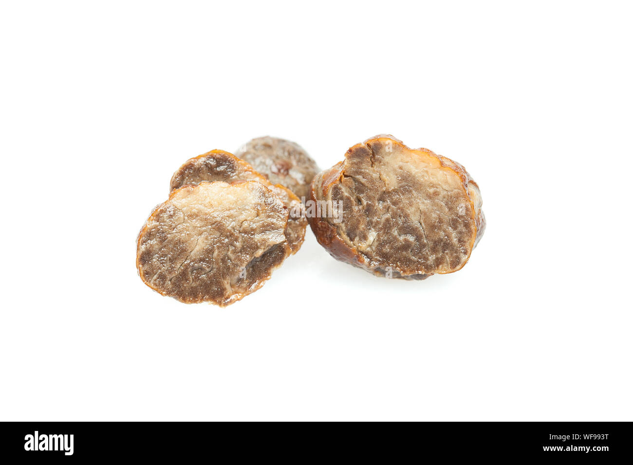 Truffle mushroom. White gourmet truffle mushroom isolated on white
