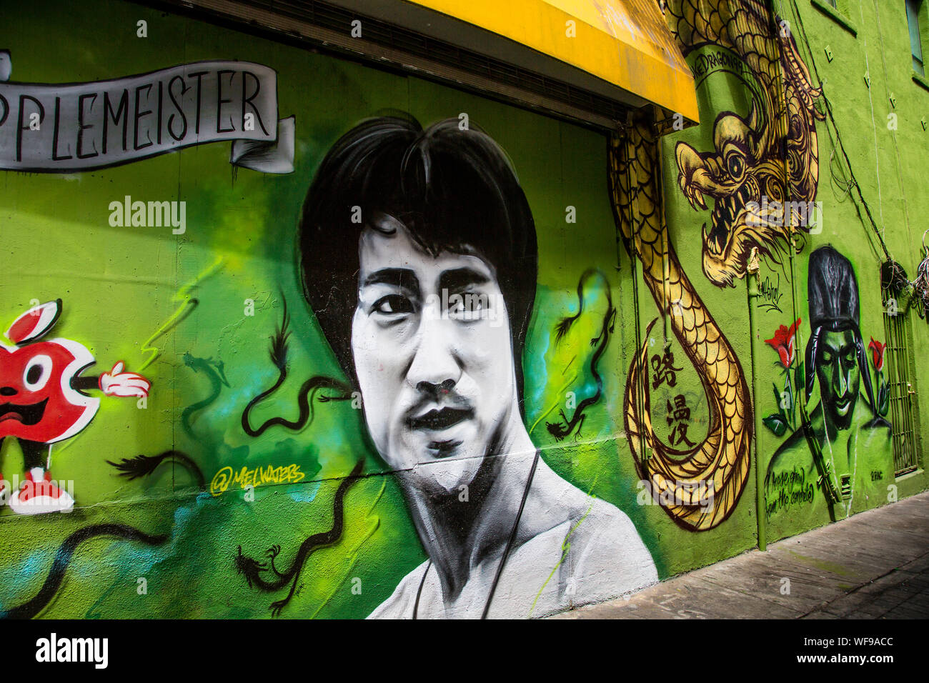 Mural of Bruce Lee in Chinatown, San Francisco, California, United States  Stock Photo - Alamy