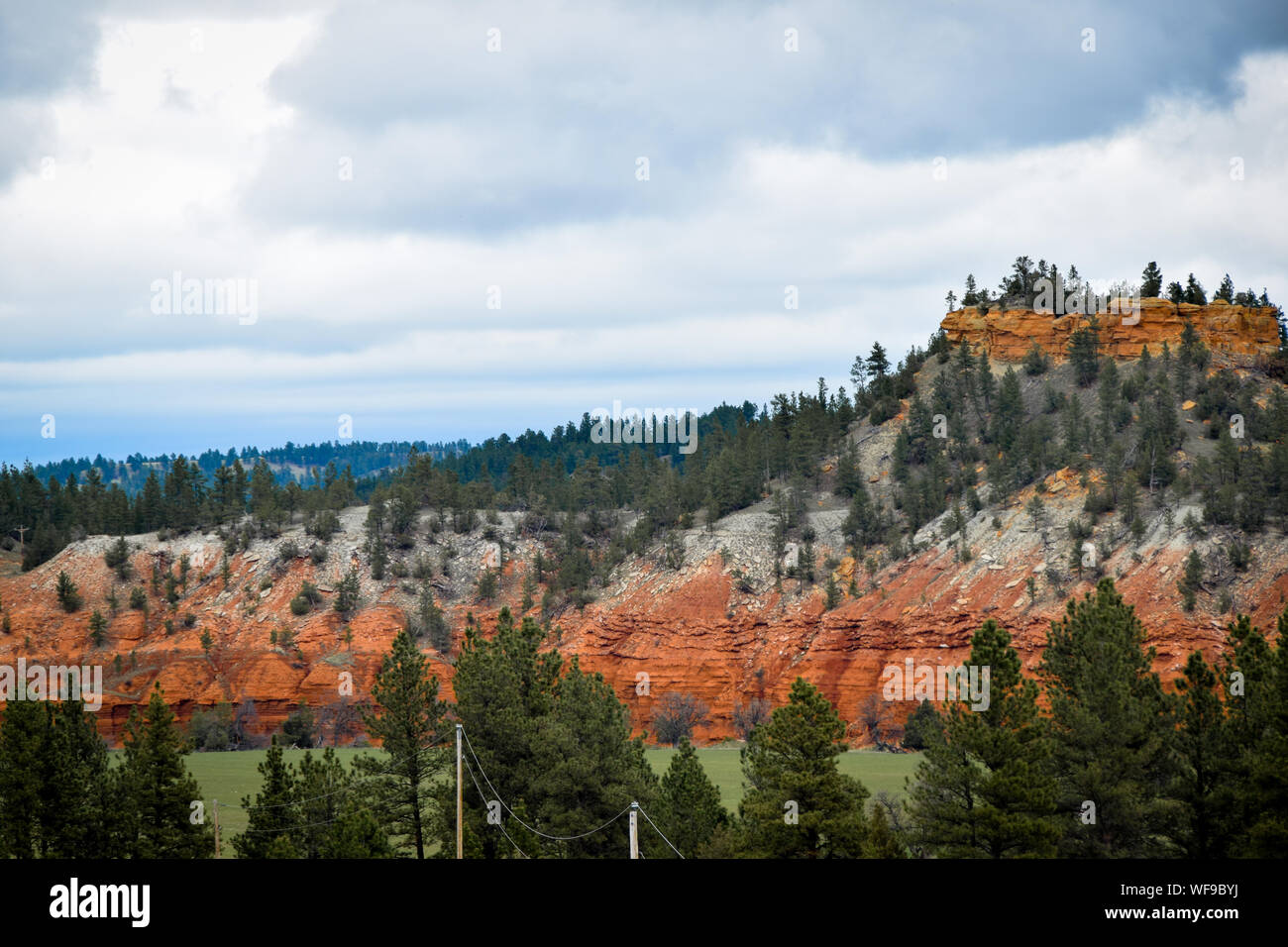 Trees Growing On Rock Formations Against Cloudy Sky At Black Hills Stock Photo