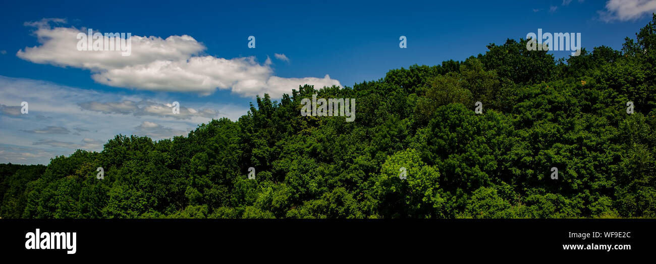 White Clouds In The Blue Sky And Deciduous Forest On The Hill