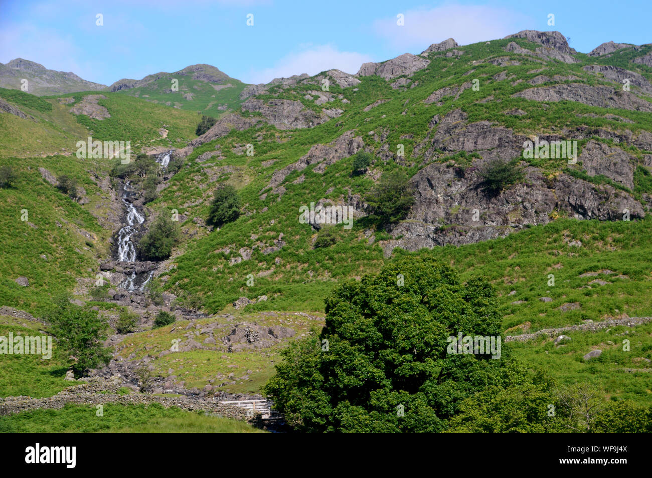 Wainwrights hires stock photography and images Alamy