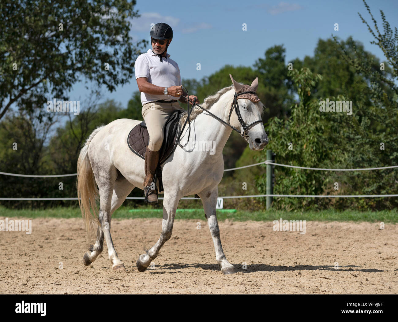 langzaam Manie ozon riding man, are training her young horse Stock Photo - Alamy
