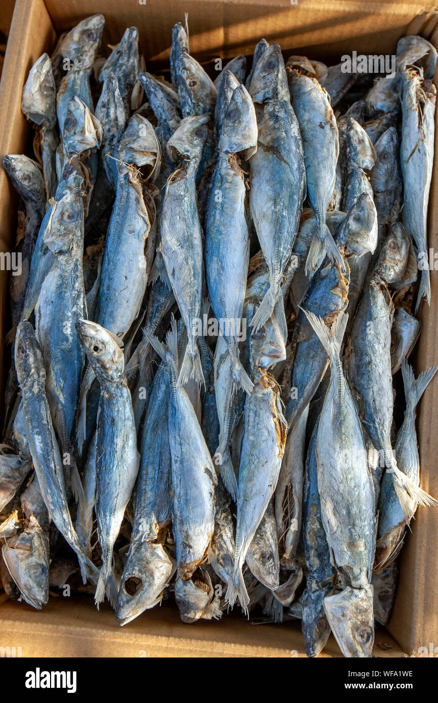 Dried sardine fish packed in a cardboard carton ready for sale at
