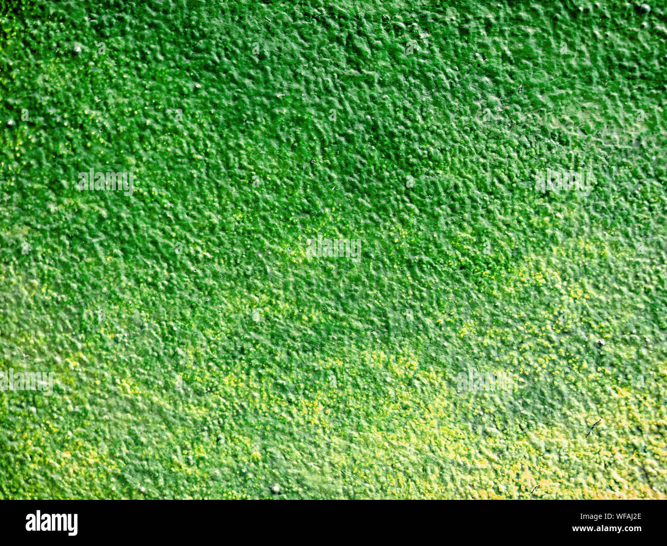 Empty green old wall texture. Painted distressed wall surface, Copy space, Cement wall texture Stock Photo