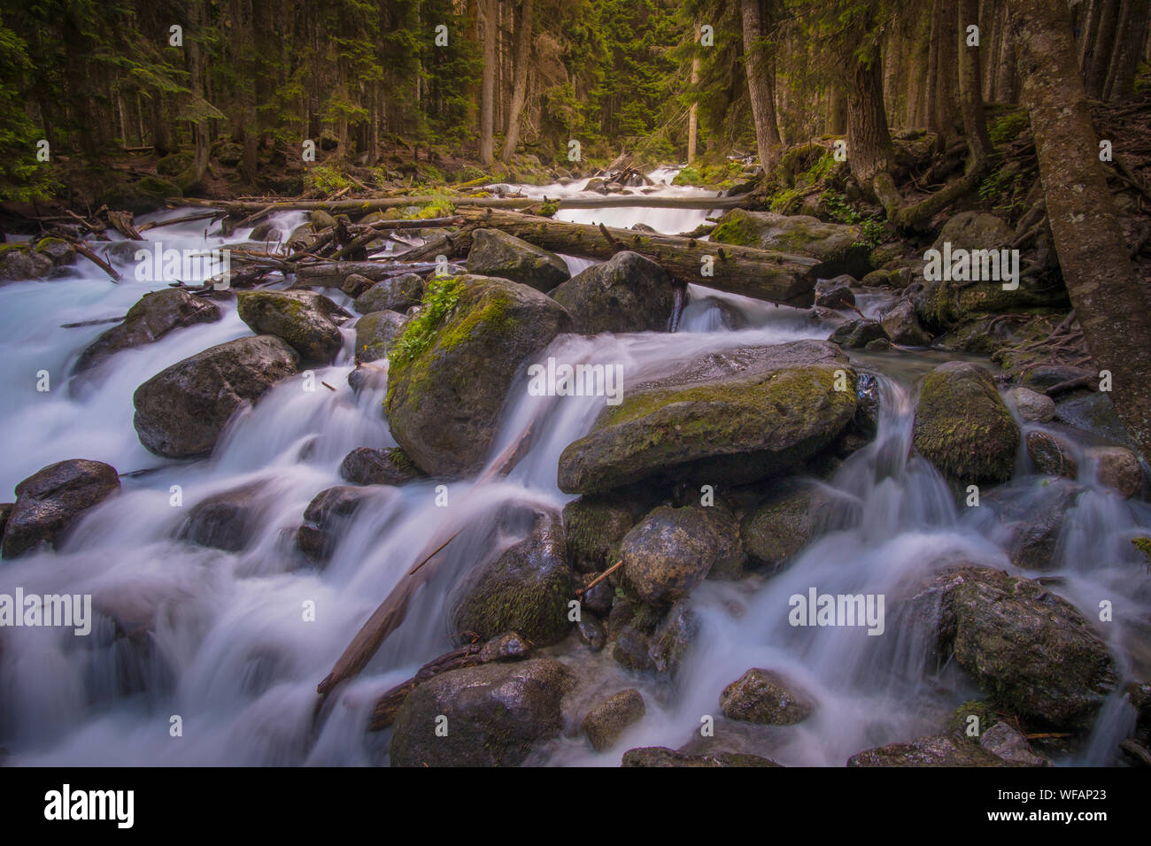 rushing blue river in a mountain forest. Mountain landscape. North ...