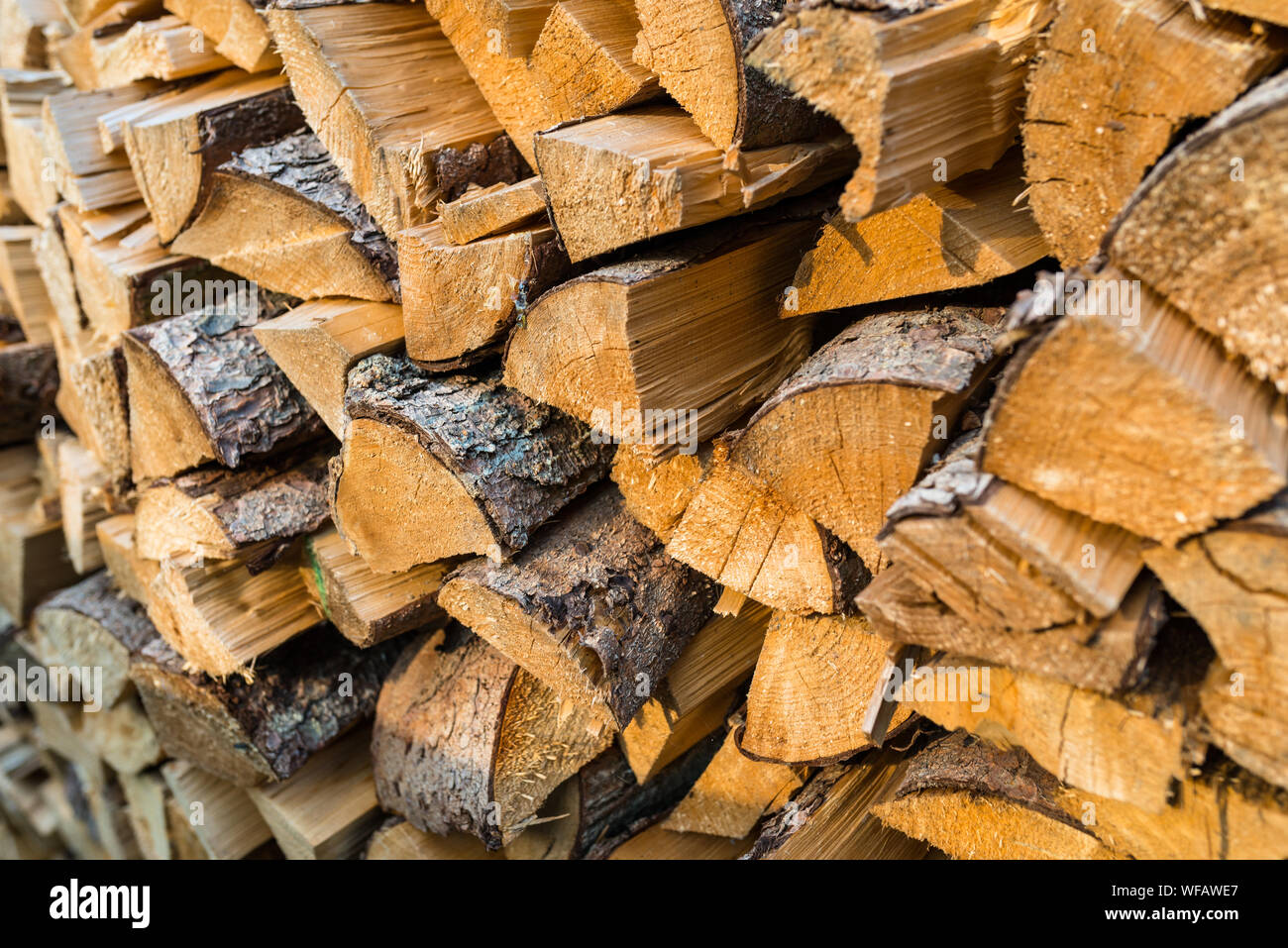 A pile of firewood stacked in a pile cut trunks Close up shot wood A pile of firewood stacked in a pile cut trunks Close up shot wood