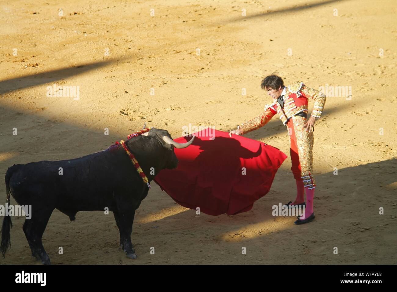 Side View Of Matador Showing Red Cape With Black Bull On Field Stock Photo Alamy