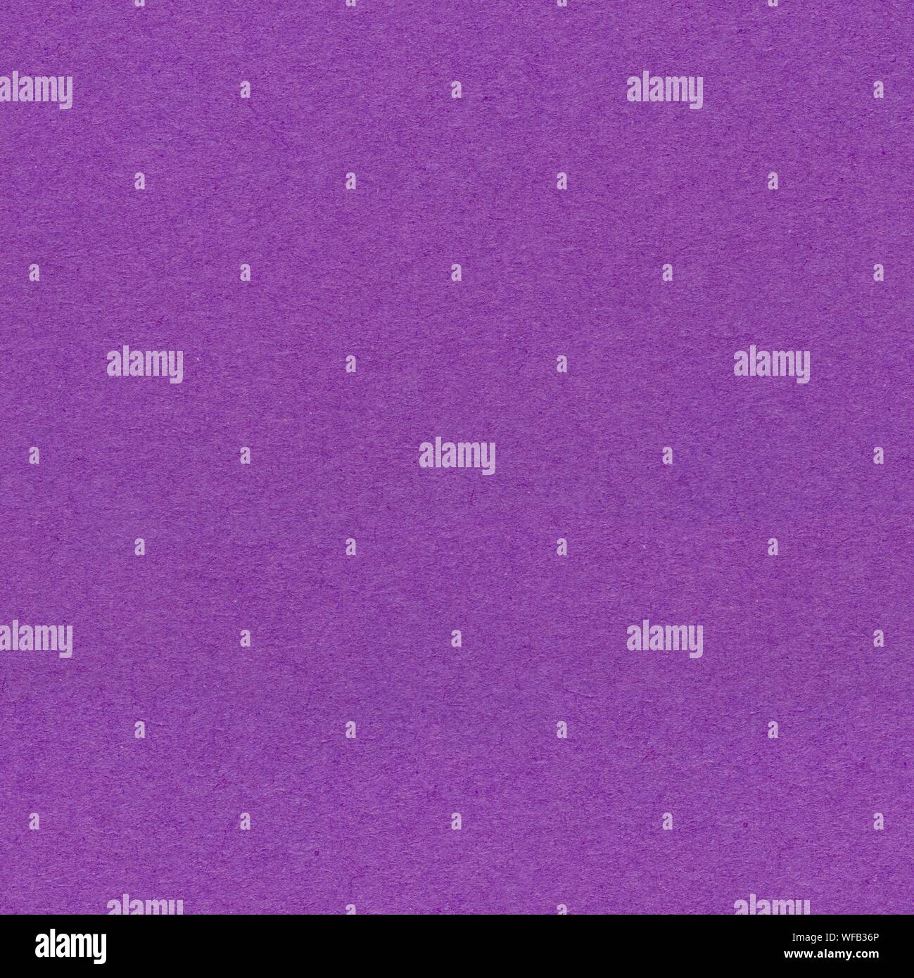 Purple background paper. Seamless square texture, tile ready. Stock Photo