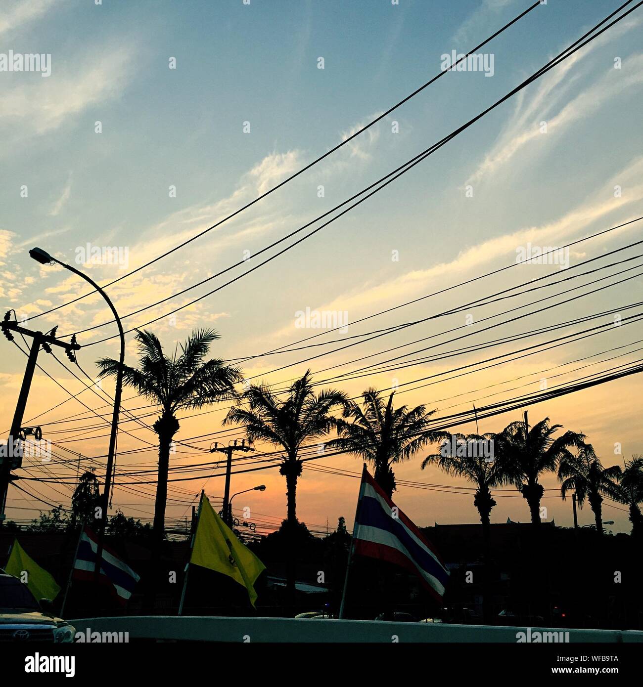 The lines of palm trees hires stock photography and images Alamy