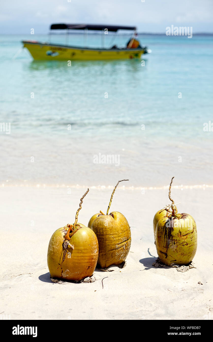 Coconuts on beach hires stock photography and images Alamy