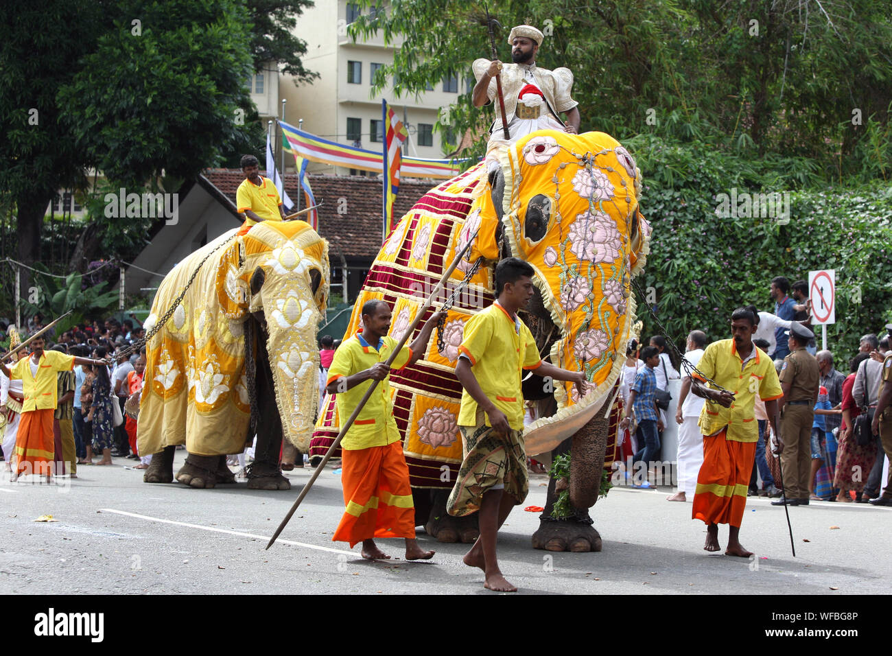 Ceremonial elephants parade along a road during the Buddhist Day Perahera (procession) at Kandy in Sri Lanka. Stock Photo