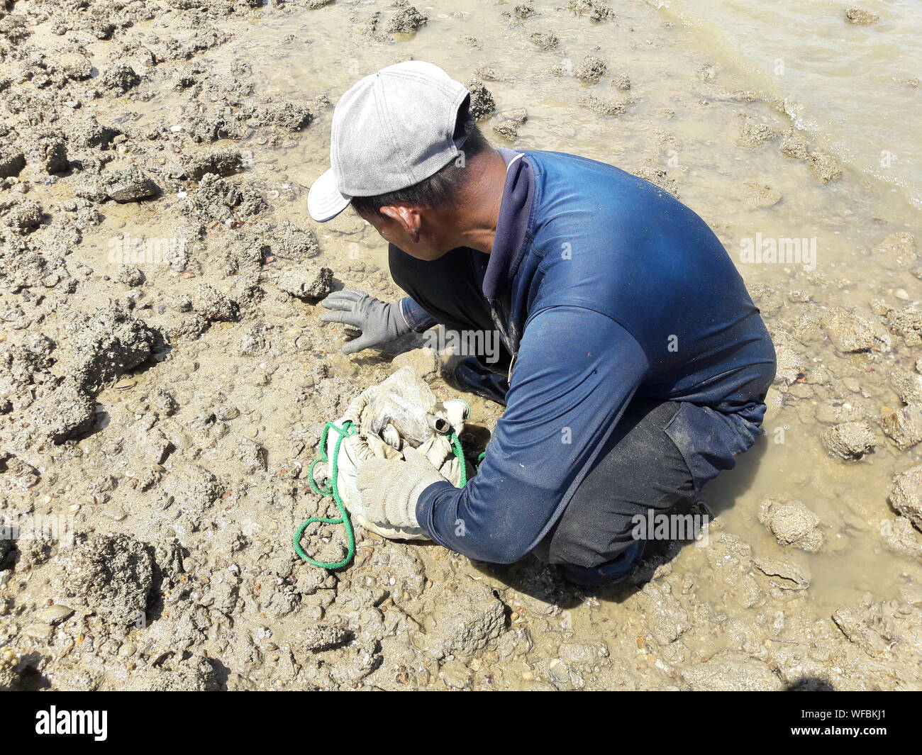Collecting seashells seashell hires stock photography and images Alamy