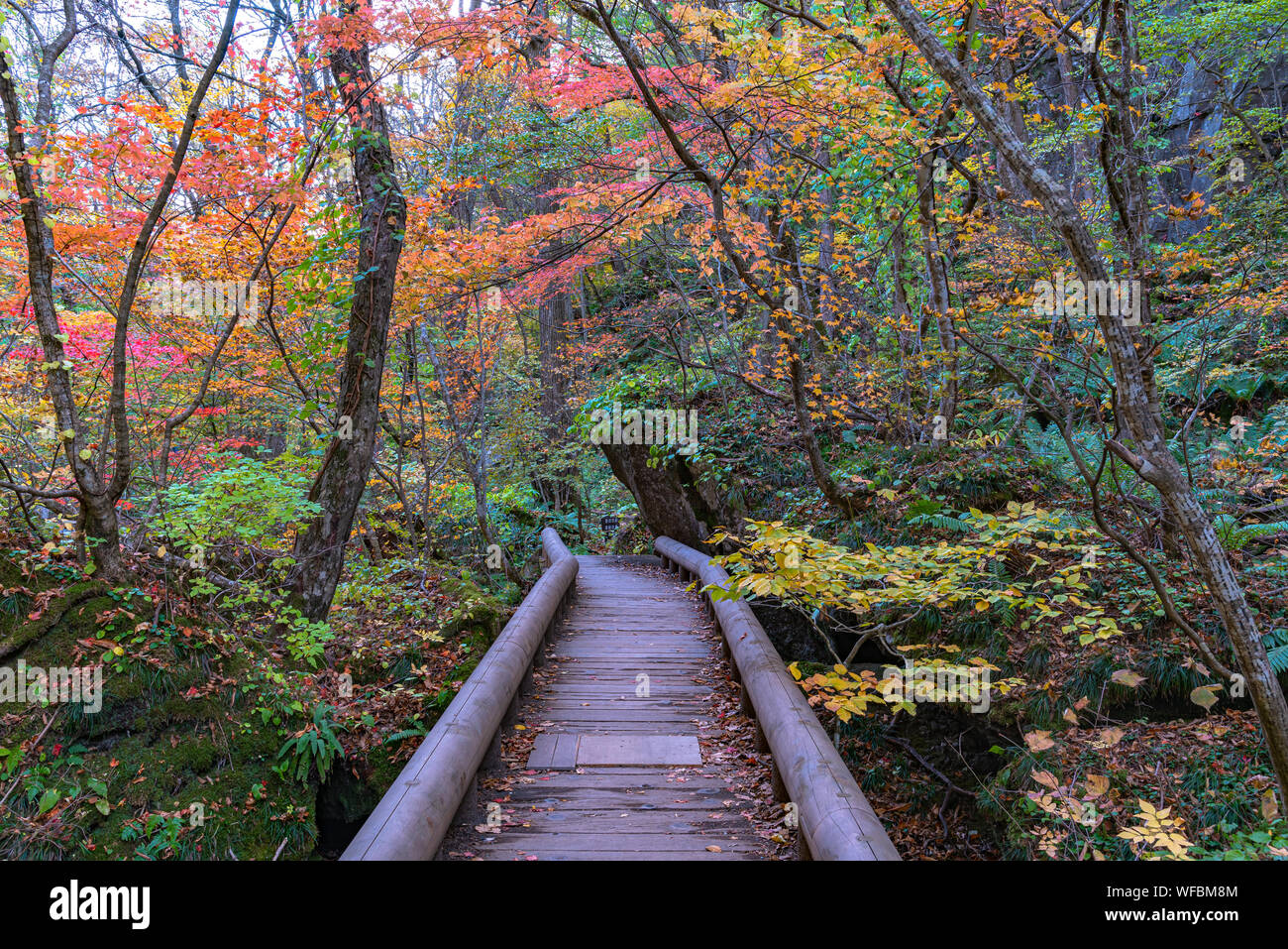River bank pathway hi-res stock photography and images - Alamy
