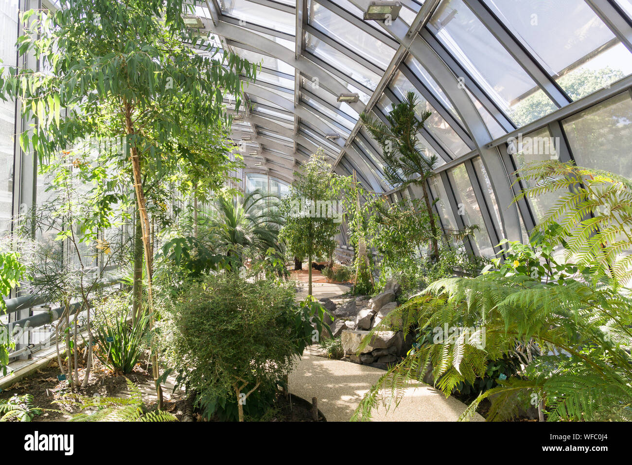 Paris green architecture - a greenhouse surrounding the tennis stadium Simon Mathieu, situated in the Jardin des Serres d'Auteuil botanical garden. Stock Photo