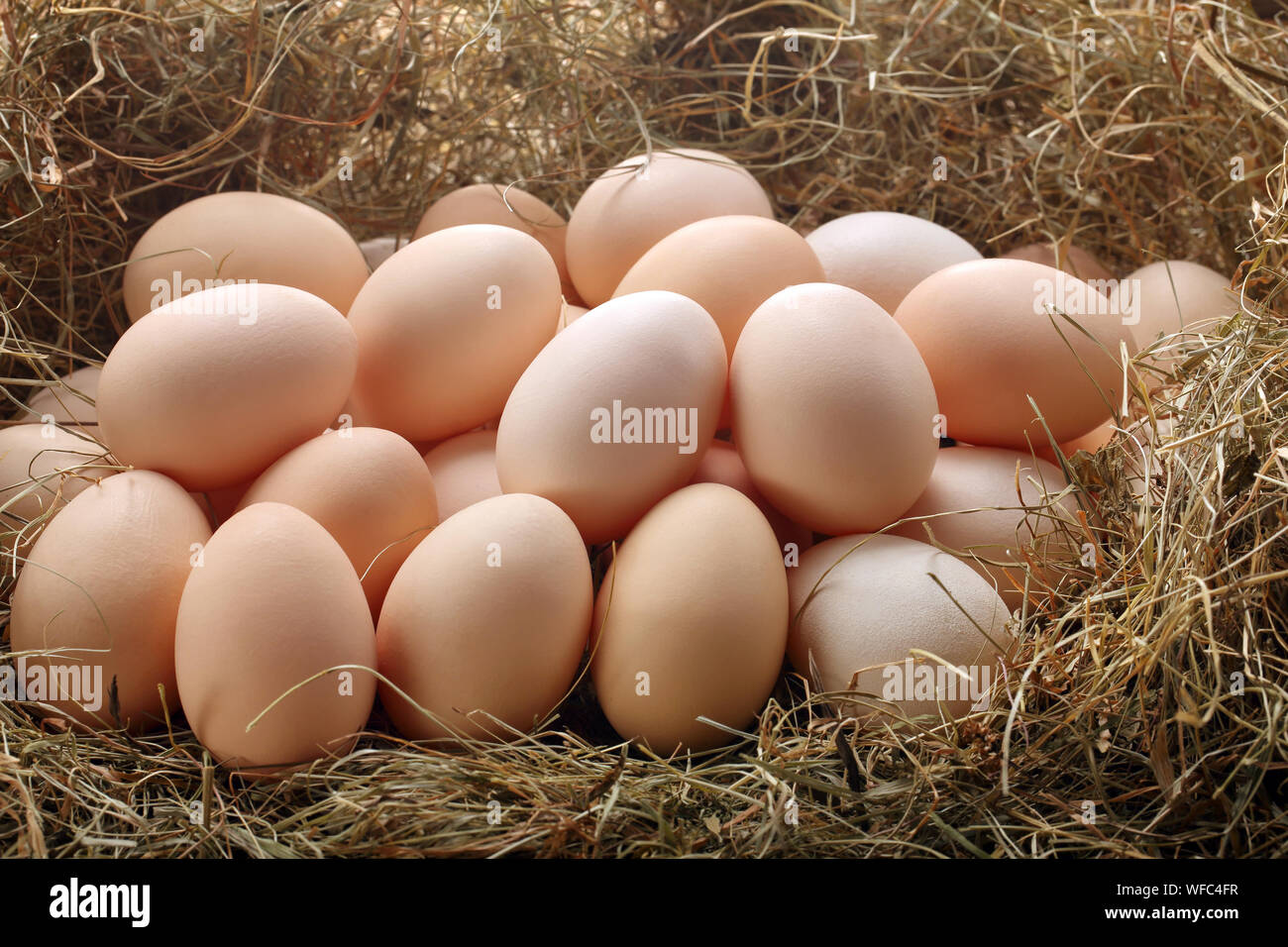 Chicken eggs in hay nest Stock Photo - Alamy