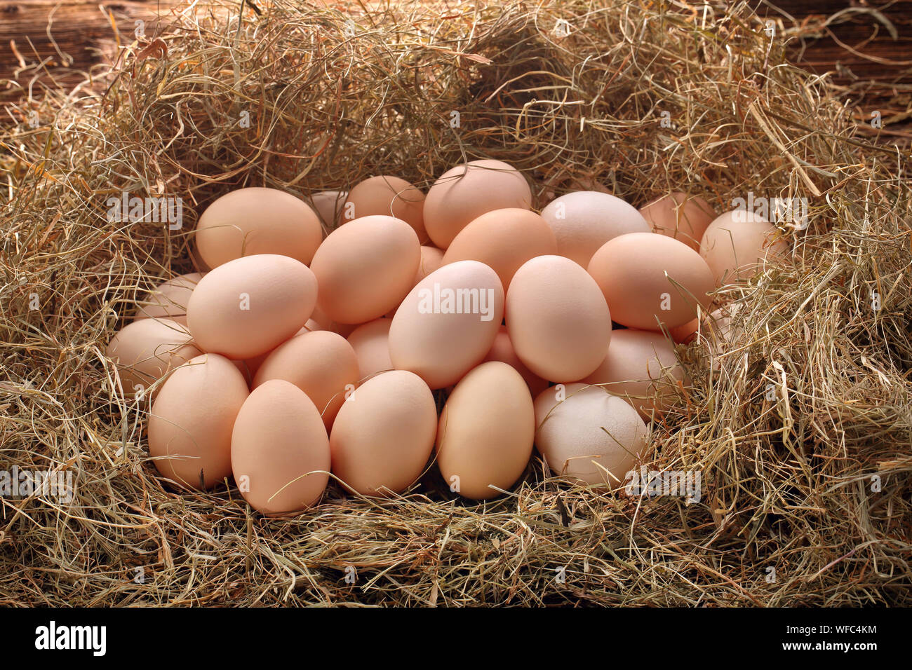 Chicken eggs in hay nest Stock Photo Alamy