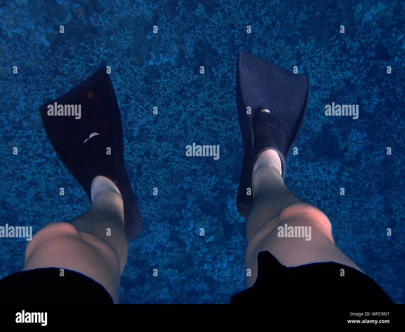 Person wearing flippers over sea hires stock photography and images