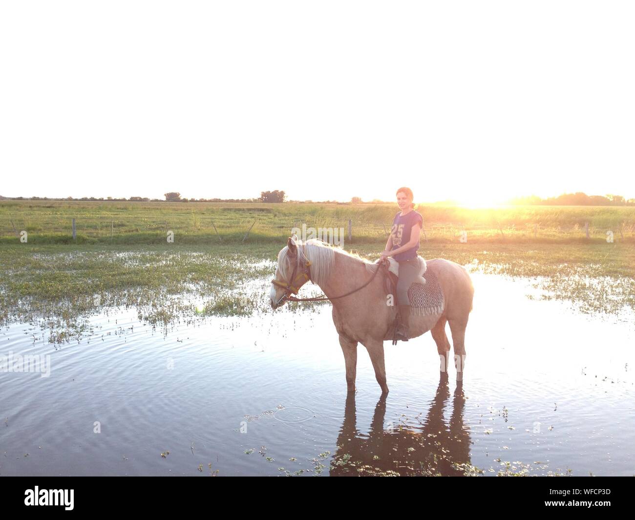 Young Woman Horseback Riding In Farm Against Clear Sky During Sunny Day Stock Photo