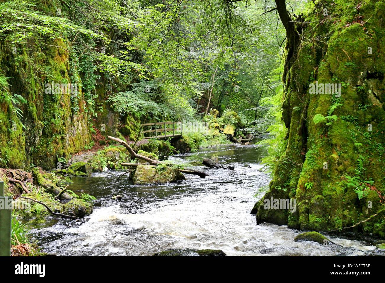 Scenic View Of River Doon In Galloway Forest Park Stock Photo