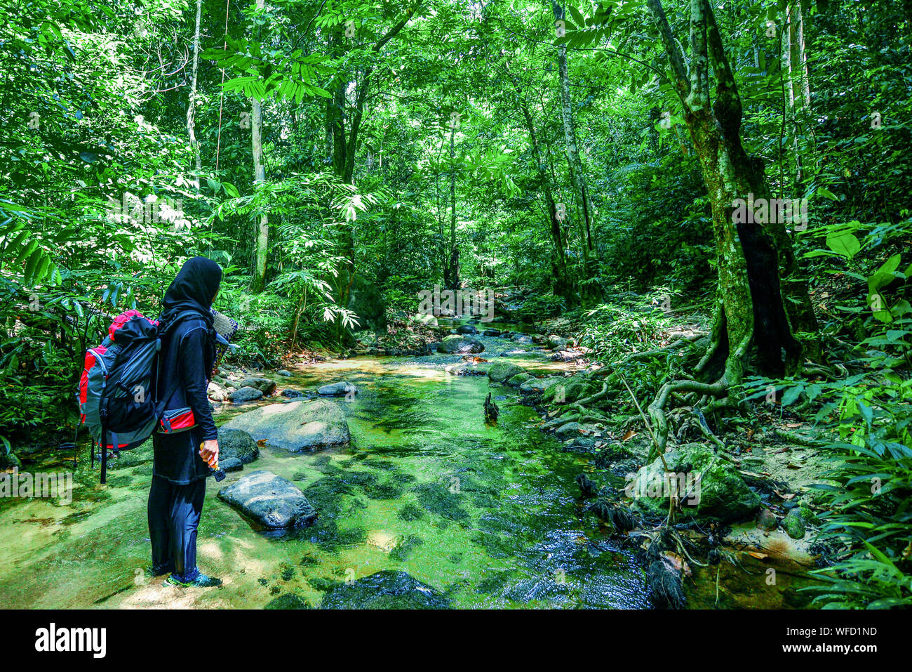 Rainforest backpack hi-res stock photography and images - Alamy