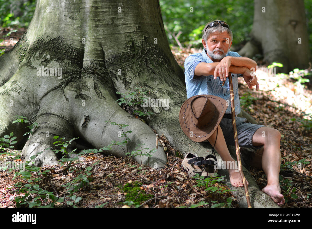 Senior man resting on giant root Stock Photo