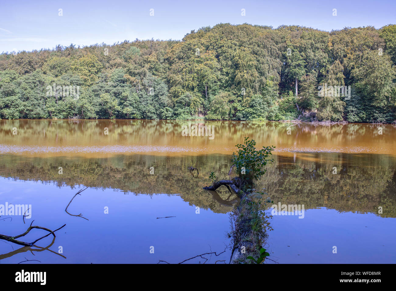 Hertha Lake High Resolution Stock Photography And Images Alamy