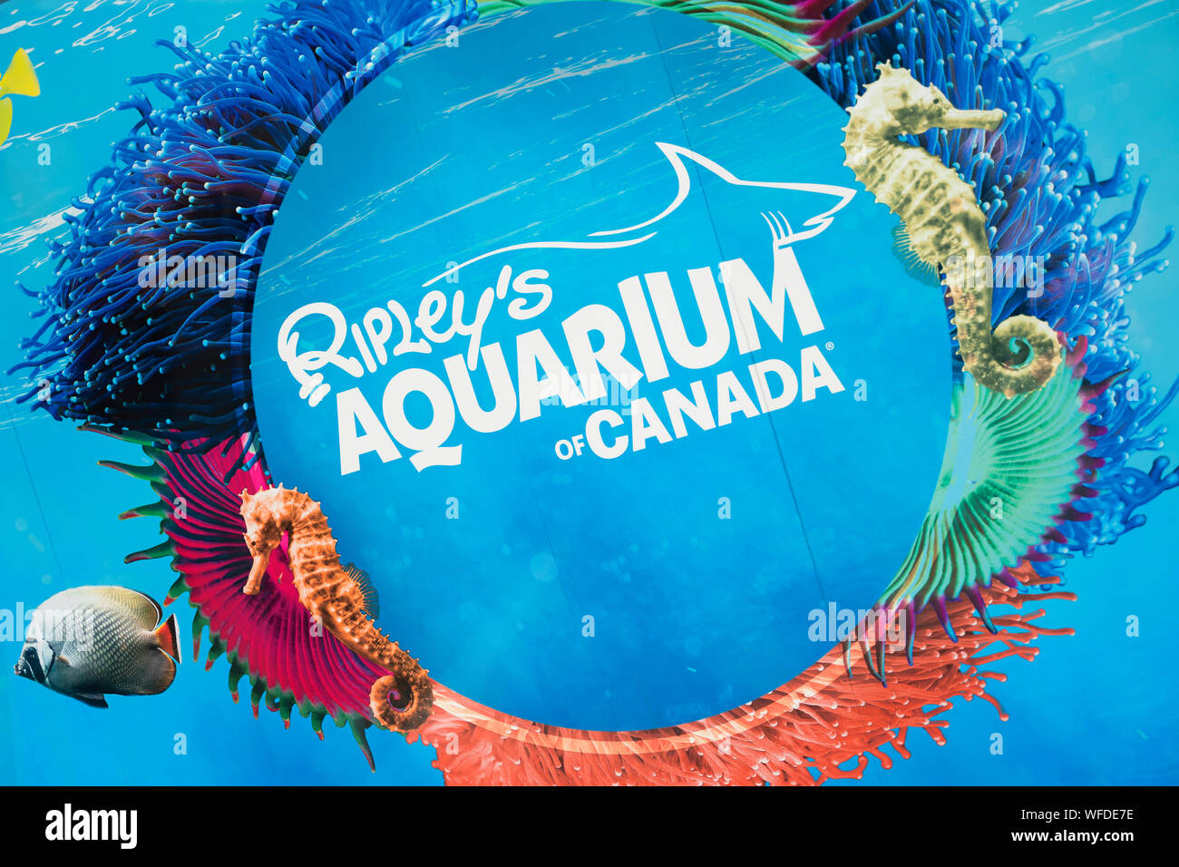Sign Logo of the Ripley's Aquarium of Canada, in Toronto Stock Photo