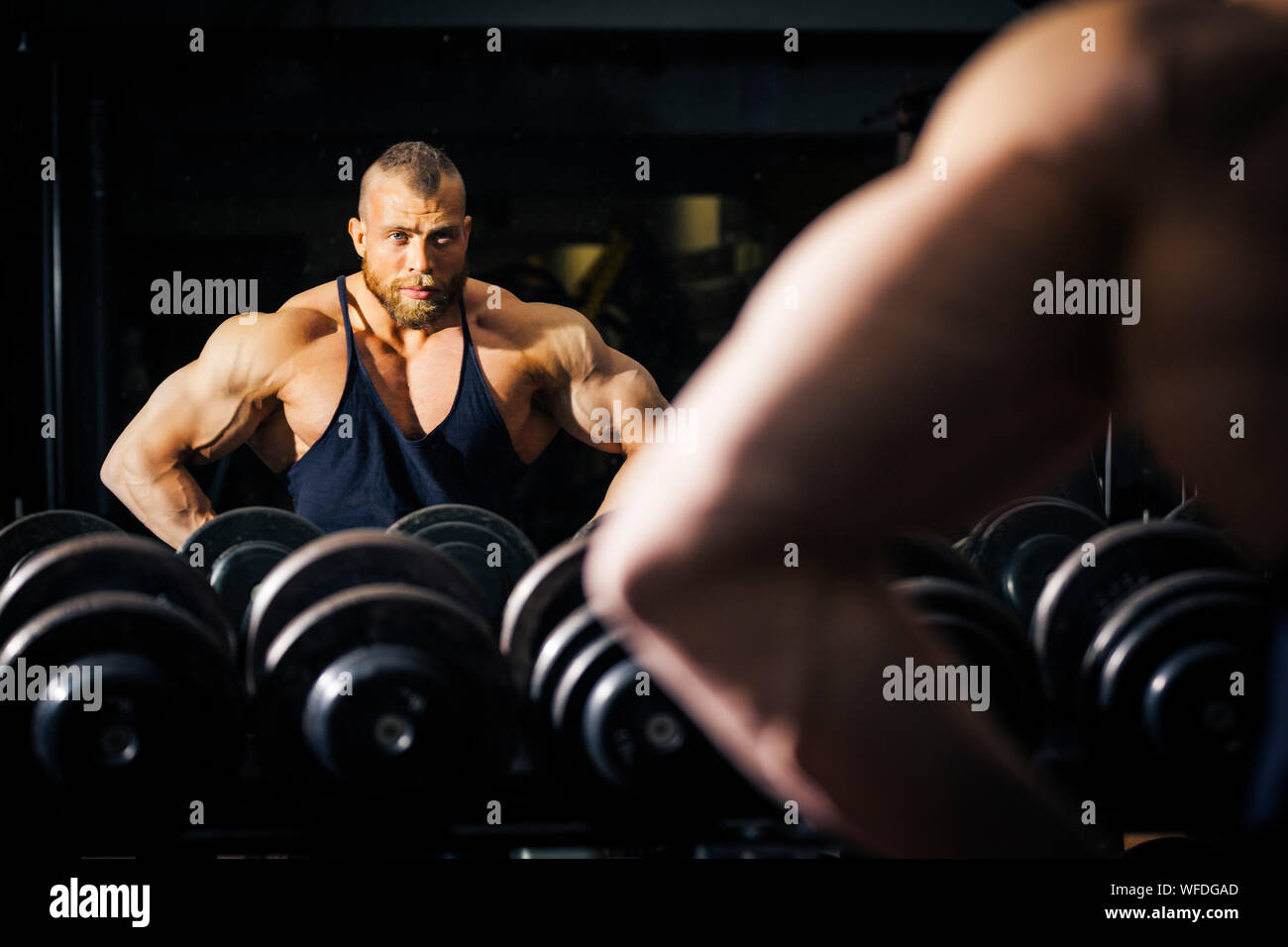 Close Up Of Muscular Man Holding Dumbbell At Gym Stock Photo Images, Photos, Reviews