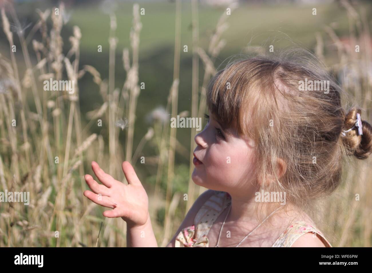 Close-up Of Young Girl Blowing Dandelion Spore Stock Photo