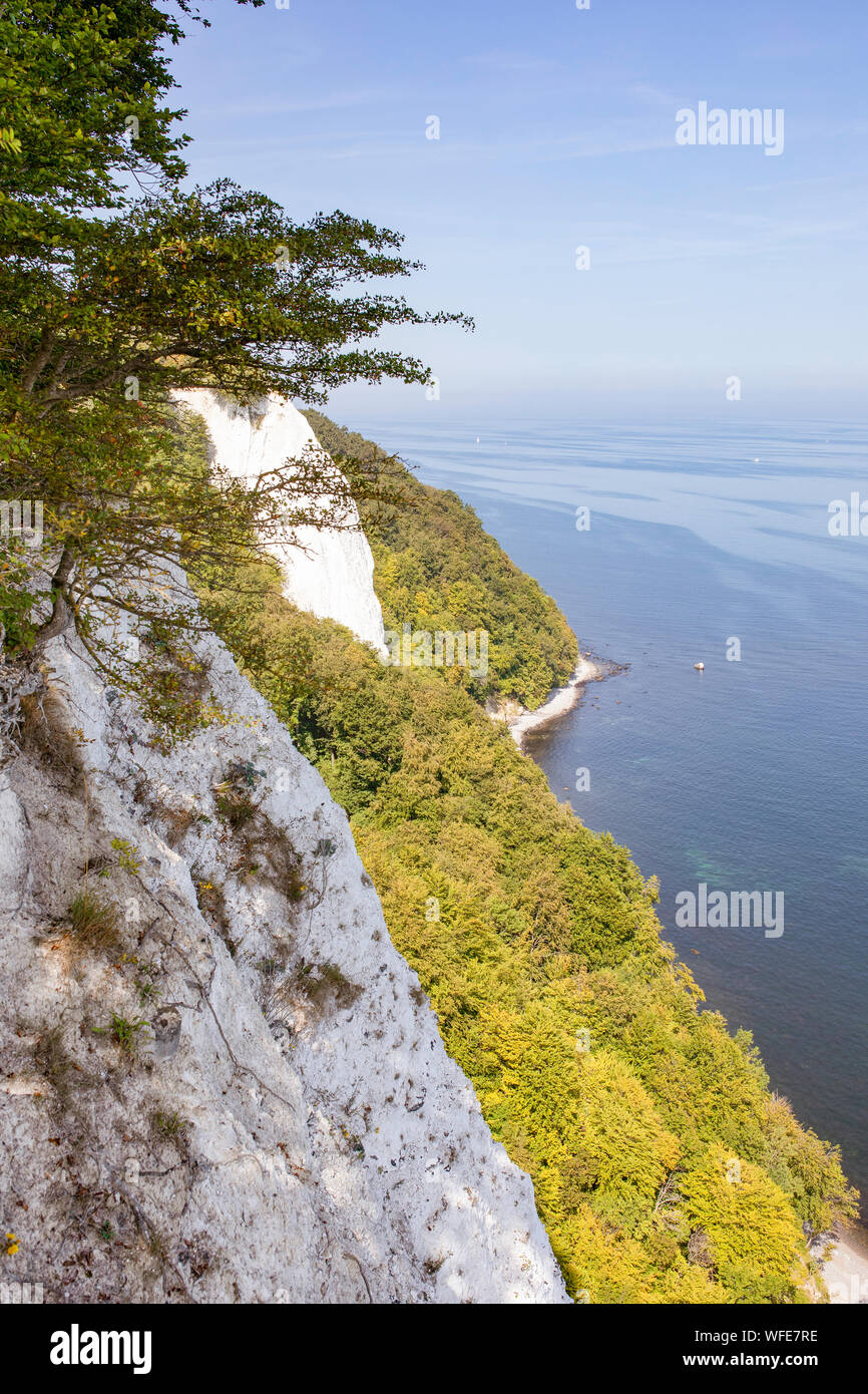 Chalk cliffs on the island Rugen (Rugia). The German Baltic Sea coast ...