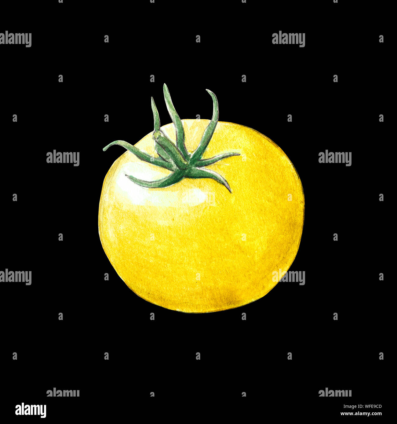 tomato watercolor illustration on black background Stock Photo - Alamy