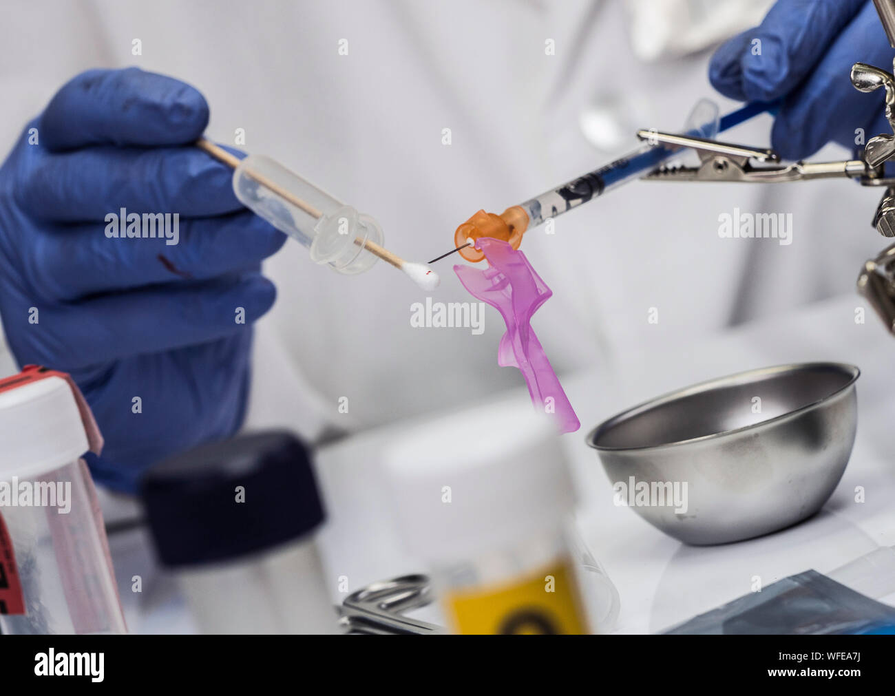 Specialized police analyzes syringe with traces of blood from a victim overdose with tweezers, conceptual image Stock Photo