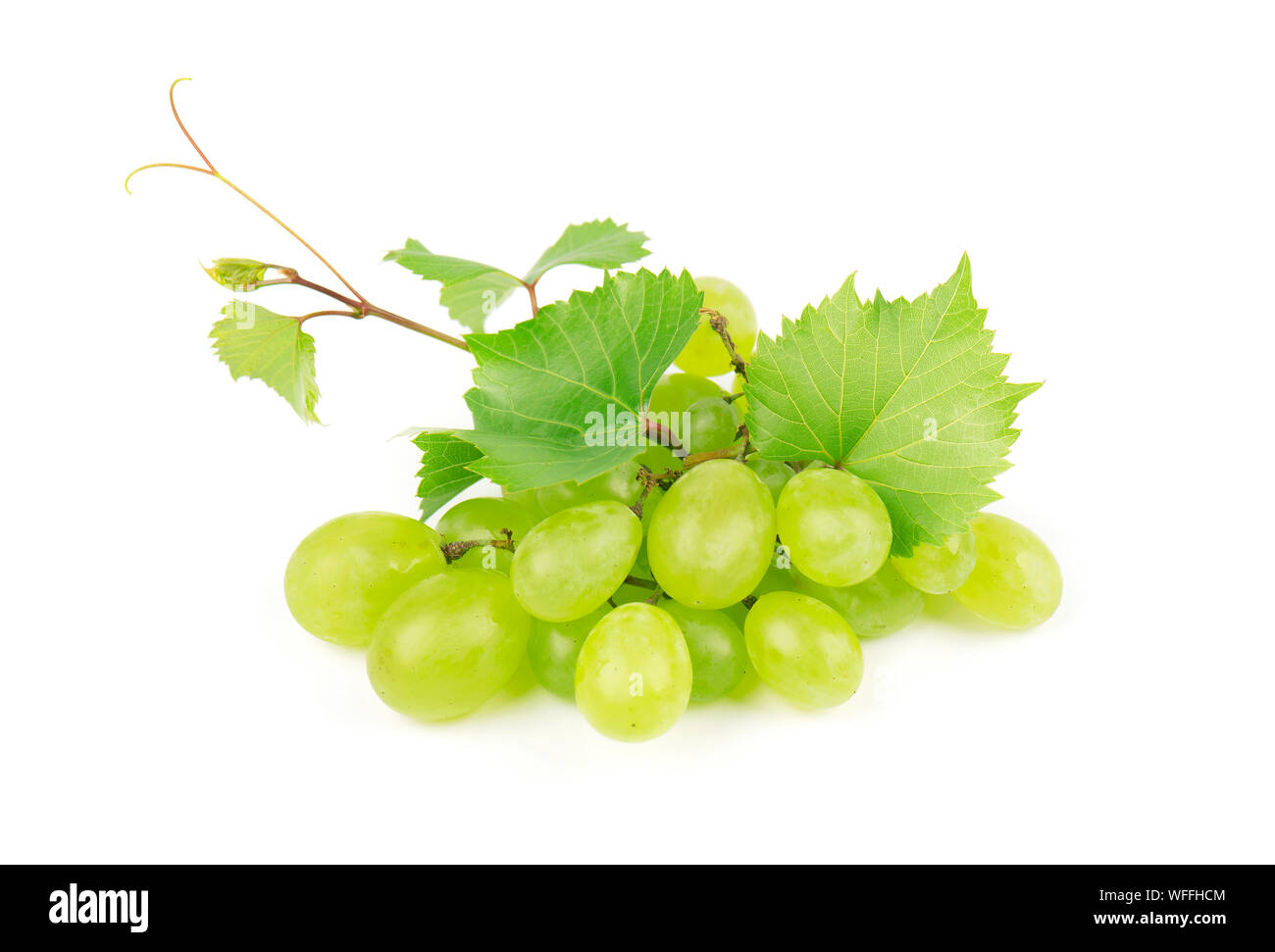 Green grape with leaves isolated on white background Stock Photo - Alamy