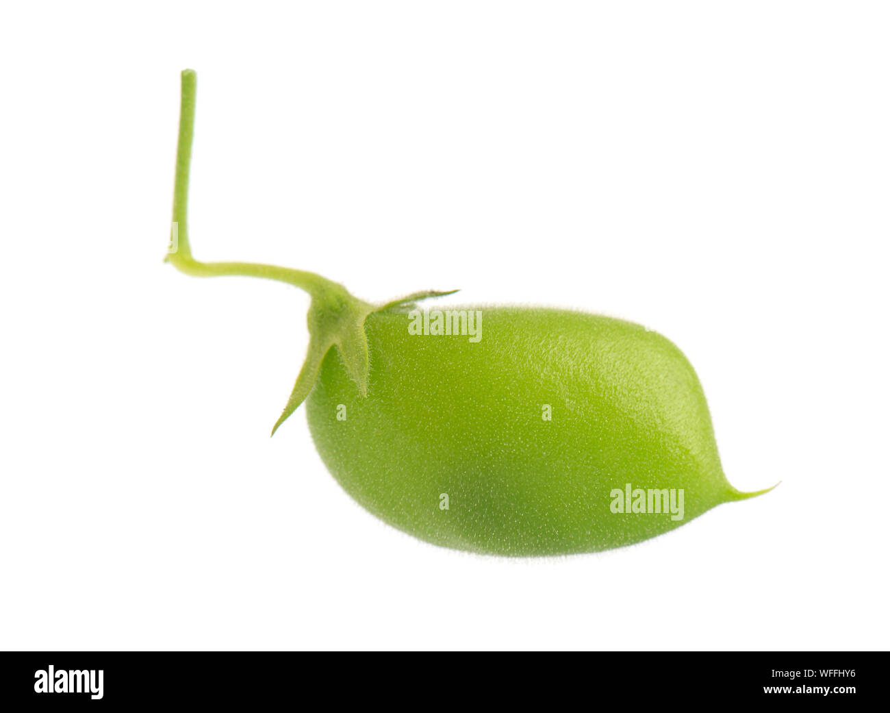 Green chickpeas in the pod isolated on white background Stock Photo - Alamy
