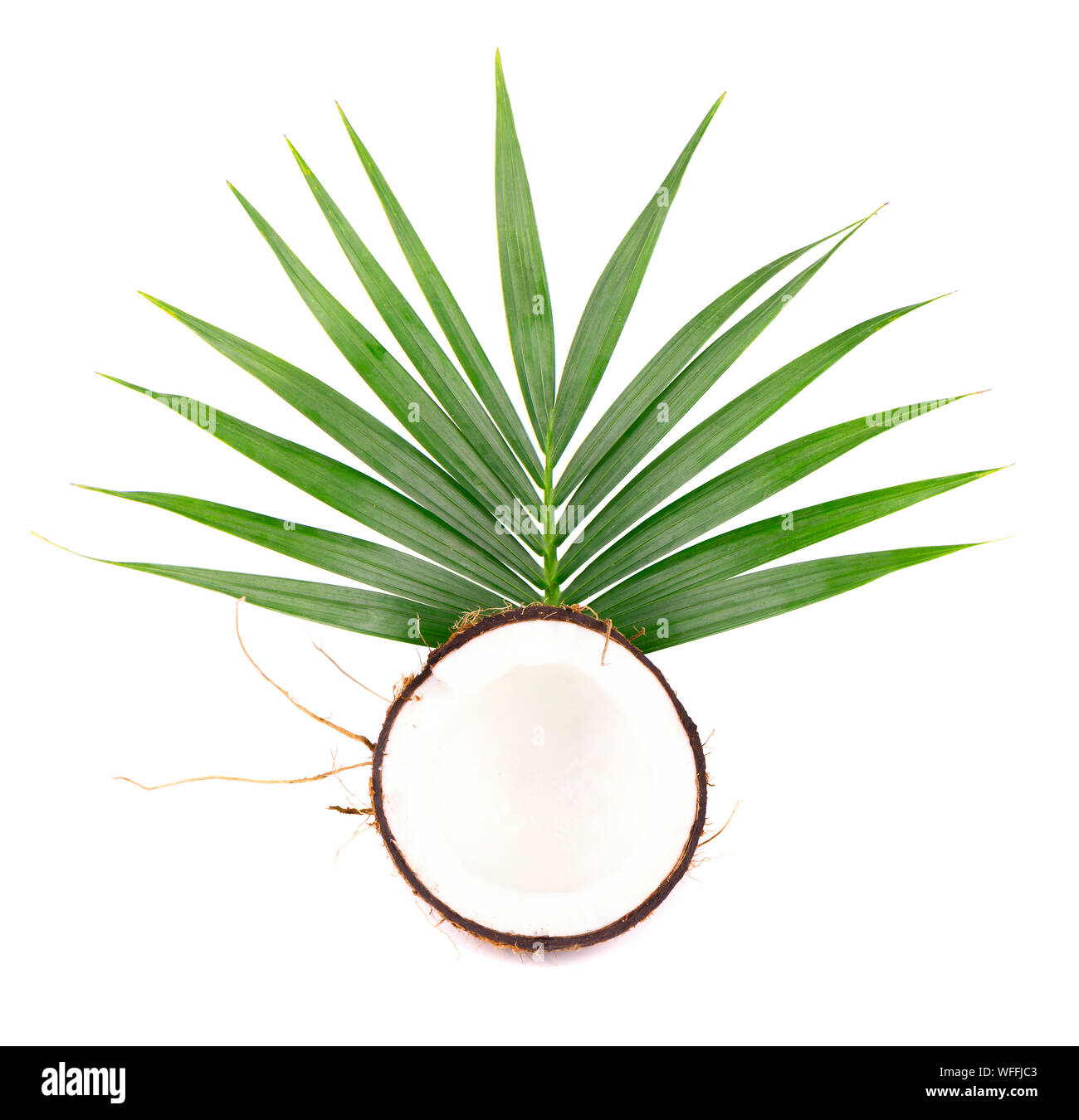 Tropical fruit coconut. Fresh coconut with leaves isolated on white